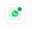 The WhatsApp support button in the Peregrine Ship top bar